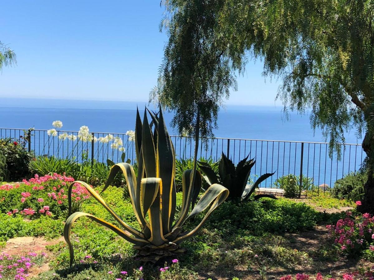 La Casa Di Sissi B&B Sanremo Bagian luar foto