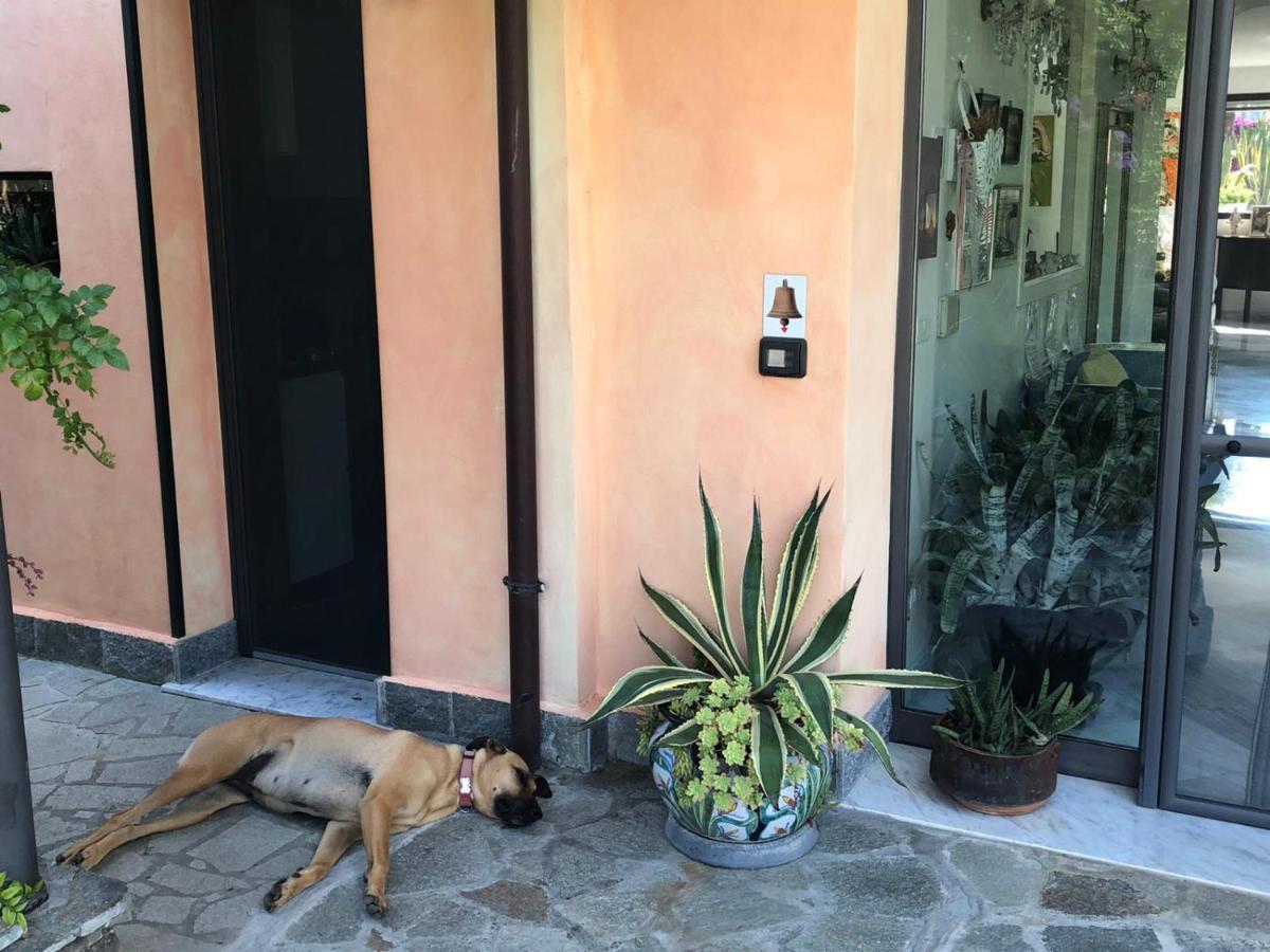 La Casa Di Sissi B&B Sanremo Bagian luar foto