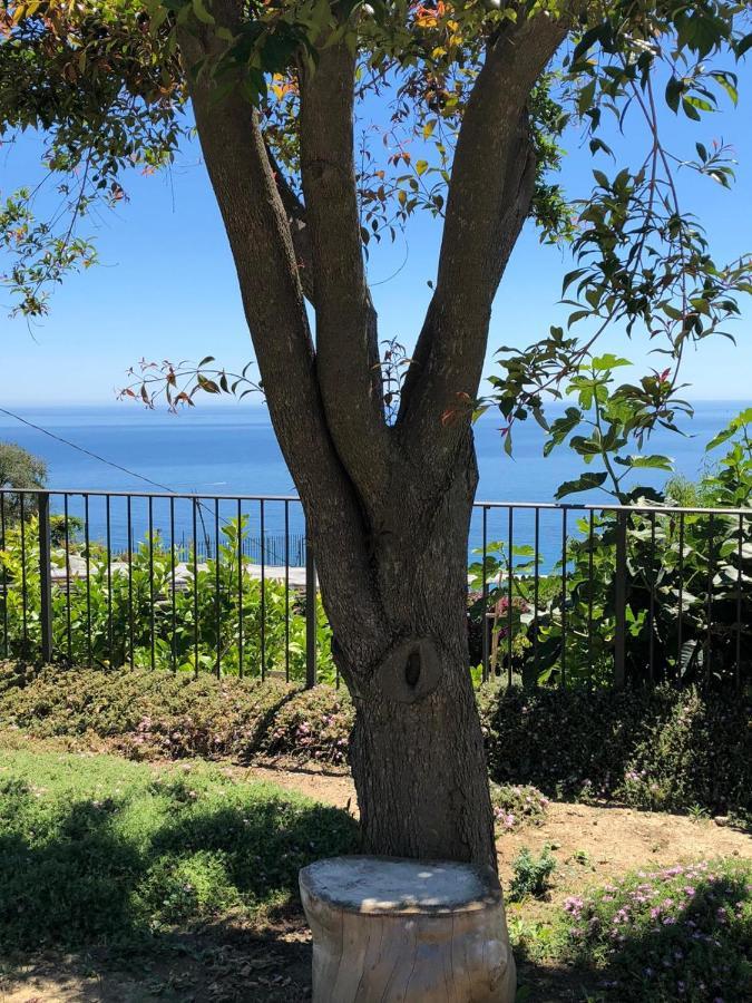 La Casa Di Sissi B&B Sanremo Bagian luar foto