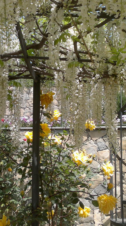 La Casa Di Sissi B&B Sanremo Bagian luar foto